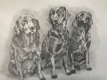 The Family - commissioned pencil drawing of a family of dogs