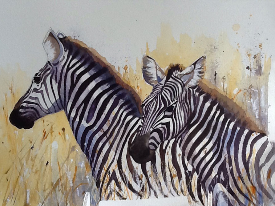 Watercolour Paintings of Animals | Gallery | Julie Cohen