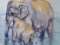 Watercolour painting of an elephant with her calf - Sri Lanka