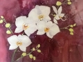 White Orchids, a study on red
