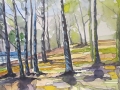 'Woodland', in watercolour and pen
