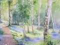'Bluebell Woods', watercolour