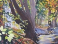 'Woods in Autumn'