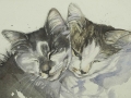 "Sleeping sisters". This was commissioned by the owner of her two new kittens.