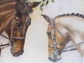 These two beautiful horses were painted together for their owner, from two separate photographs.