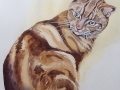 Watercolour pet commission of 'Maximilian', a feisty ginger Tom