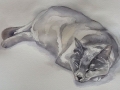 Watercolour of cat 'Delilah', asleep on her doorstep
