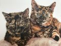 Watercolour painting of two tortoiseshells